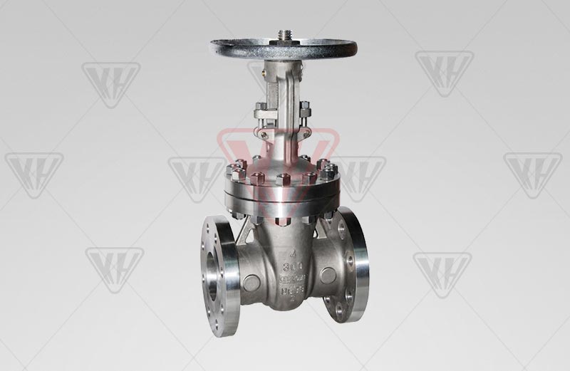 Titanium gate valve